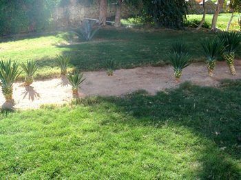 אתר נופש Desert View